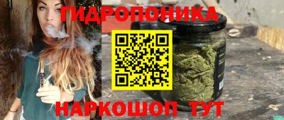 jwh Нальчик