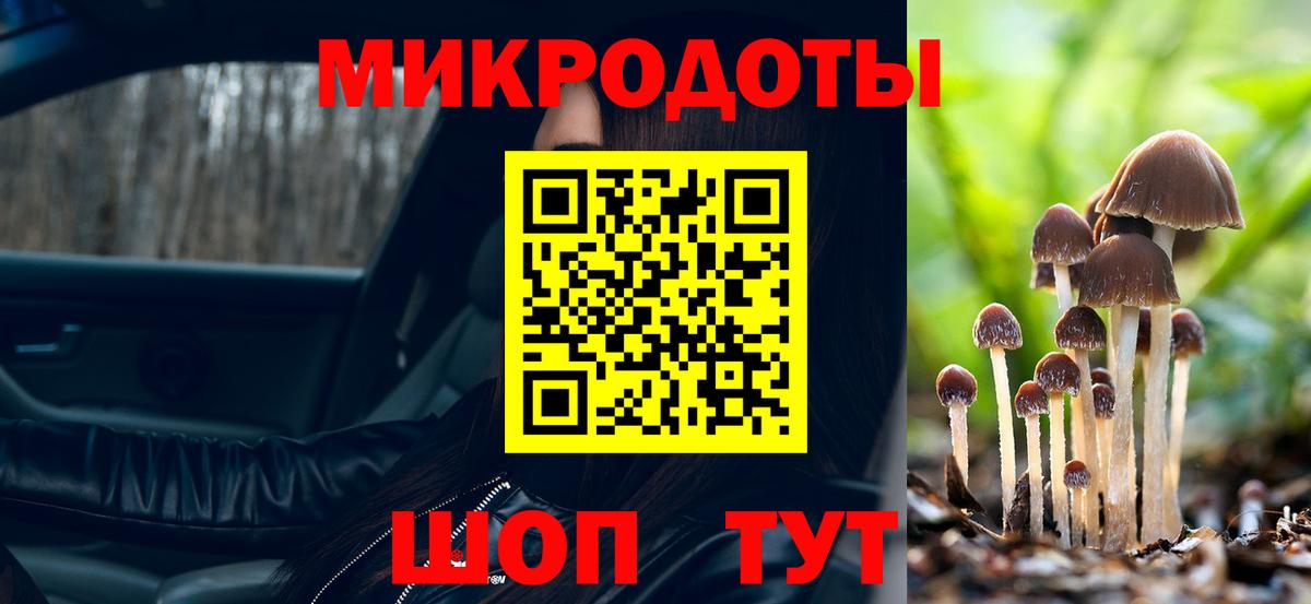 Галлюциногенные грибы Psilocybe Сорочинск